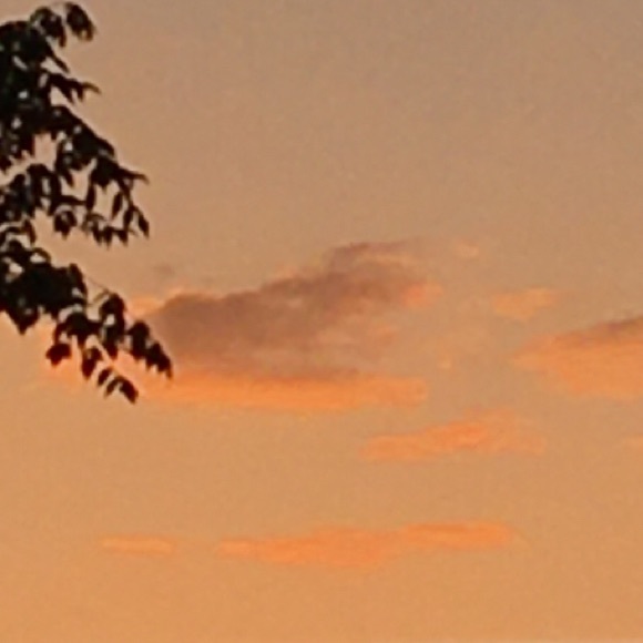 Meet your Posher, Kitchen - Picture 1 of 1